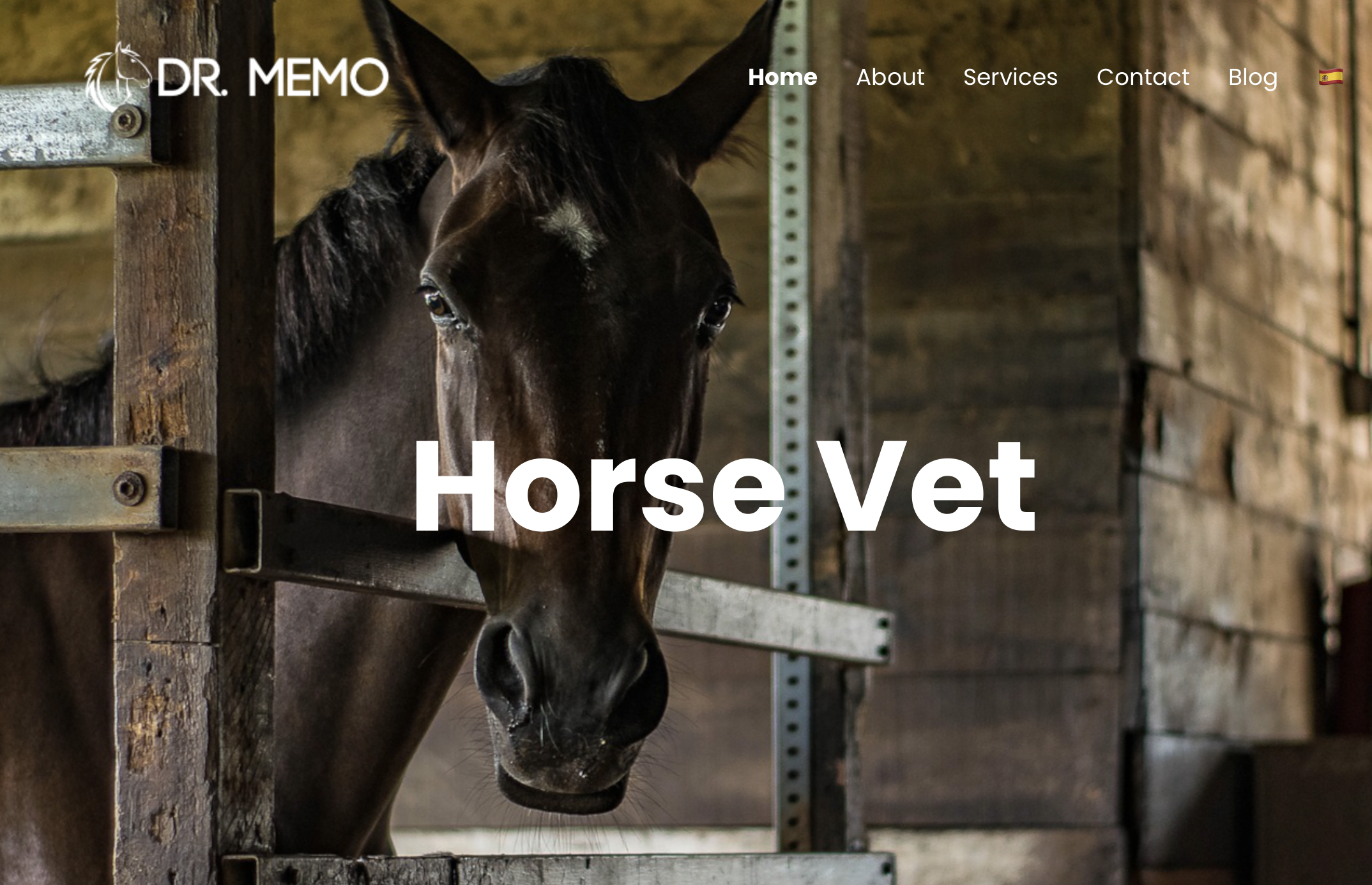 drmemohorsevet.com Web